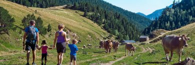 Escapada en hotel de montaña 4* con cenas en La Massana (Andorra)