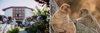 ¡Escápate y descubre Cantabria con opción a Cabárceno!