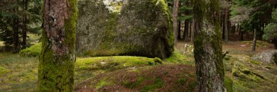 Desconecta en Portugal en Hotel de 4* con spa y desayunos