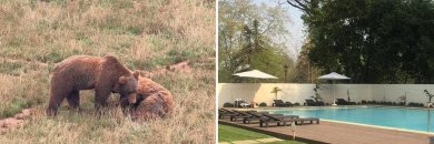 Cantabria infinita te espera (con opción a Cábarceno)