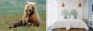 Disfruta de Cantabria en la villa de Suances ¡con opción a Cabárceno!