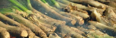 La cuna del calçot te espera: saborea el Tarragonés