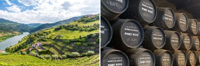 Oporto con cata de vinos y crucero por el Duero