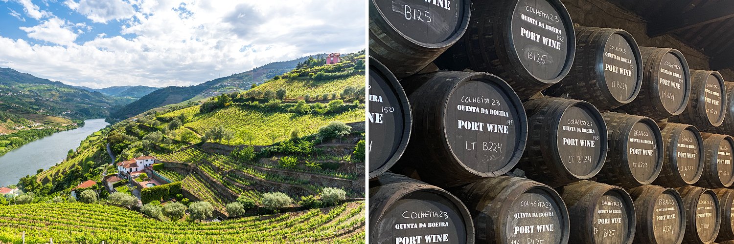 Oporto con cata de vinos y crucero por el Duero