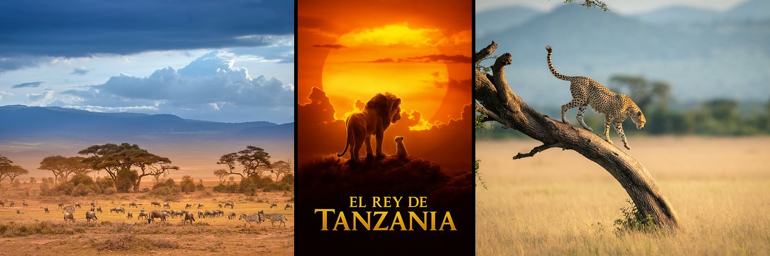 Tanzania: safari y contrastes de naturaleza y fauna