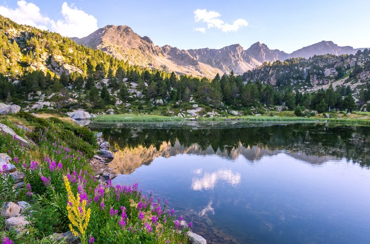 Relájate en el corazón del valle de Ordino (Andorra) - Destino