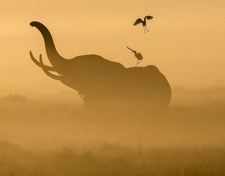 Kenia al completo: safari salvaje y playas paradisíacas con vuelos incluidos