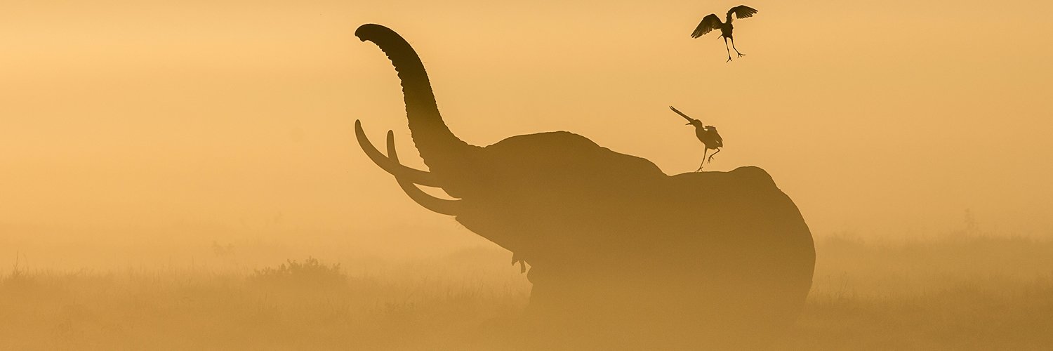 Kenia al completo: safari salvaje y playas paradisíacas con vuelos incluidos