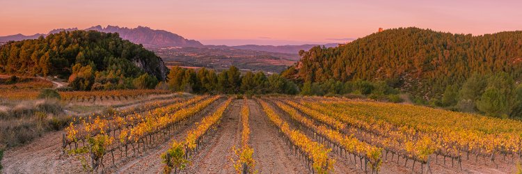 Experiencia Deluxe: un viaje al corazón del Penedés en hotel 5*