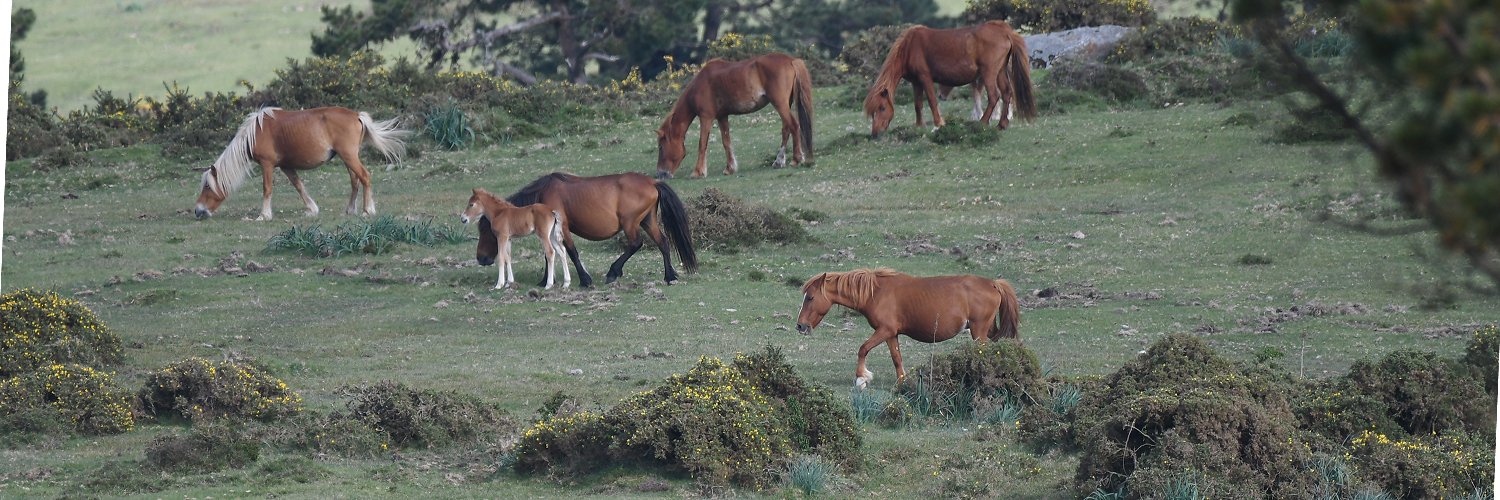 Descubre la magia de Galicia en un entorno natural de La Coruña