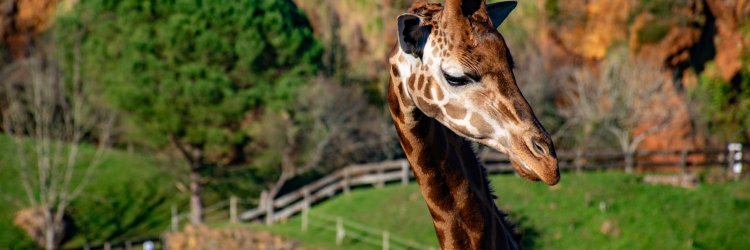 Desconecta en el Balneario de Alceda, con opción a Cabárceno