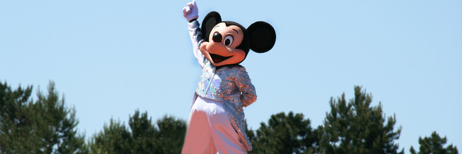 ¡Descubre París: vuelos, crucero por el Sena y visita a Disneyland® Paris!