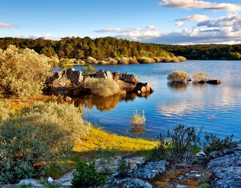 ¡Adults Only! Escapada rural en Sotillo del Rincón (Soria)