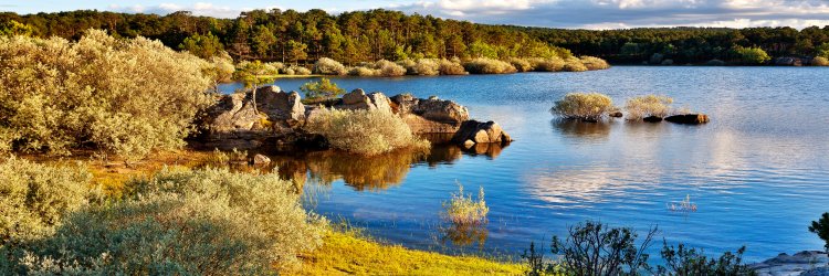 ¡Adults Only! Escapada rural en Sotillo del Rincón (Soria)