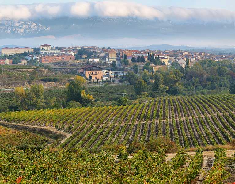 Escapada entre viñedos: descubre La Rioja en hotel 4*