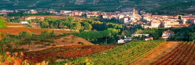 Escapada entre viñedos: descubre La Rioja en hotel 4*