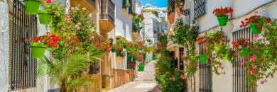 Aprovecha el solecito de Estepona y la Costa del Sol