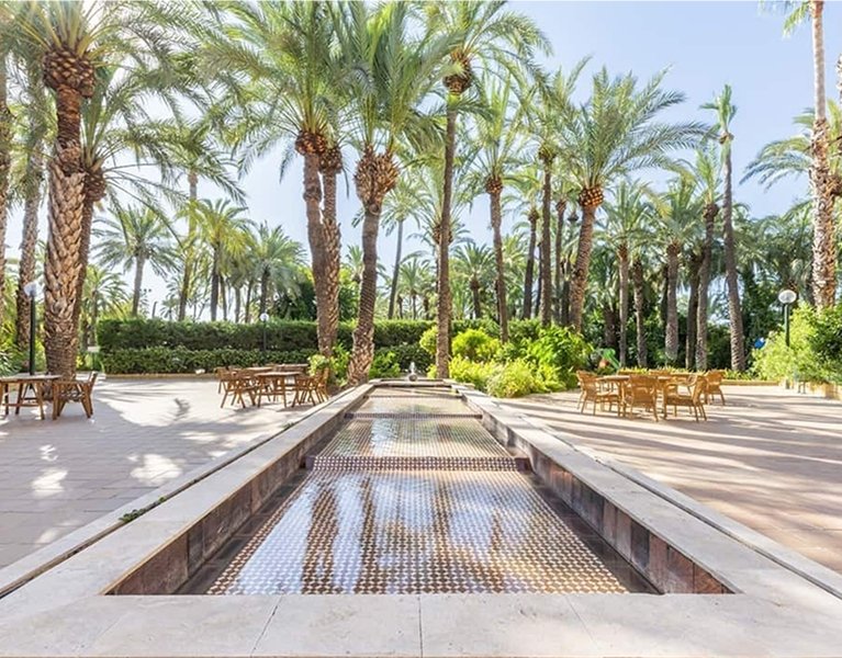 Descubre Elche, ciudad Patrimonio de la Humanidad alojado en Hotel 4*