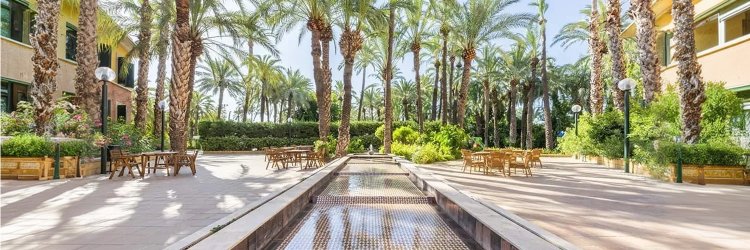 Descubre Elche, ciudad Patrimonio de la Humanidad alojado en Hotel 4*