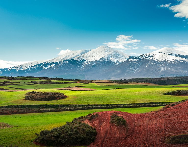 Escapada al Parque Natural de Moncayo: ¡1 niño viaja GRATIS!