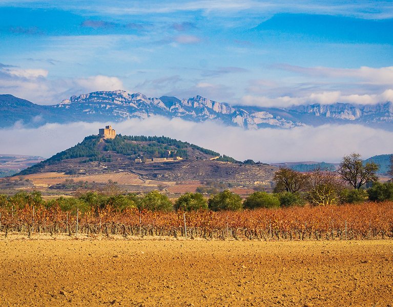 Escapada con sabor: alójate en la capital del vino de Rioja