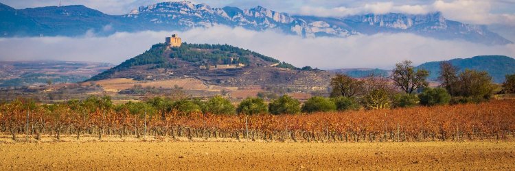 Escapada con sabor: alójate en la capital del vino de Rioja