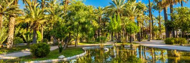 Palmerales y cultura en Elche: vive una escapada que sorprende
