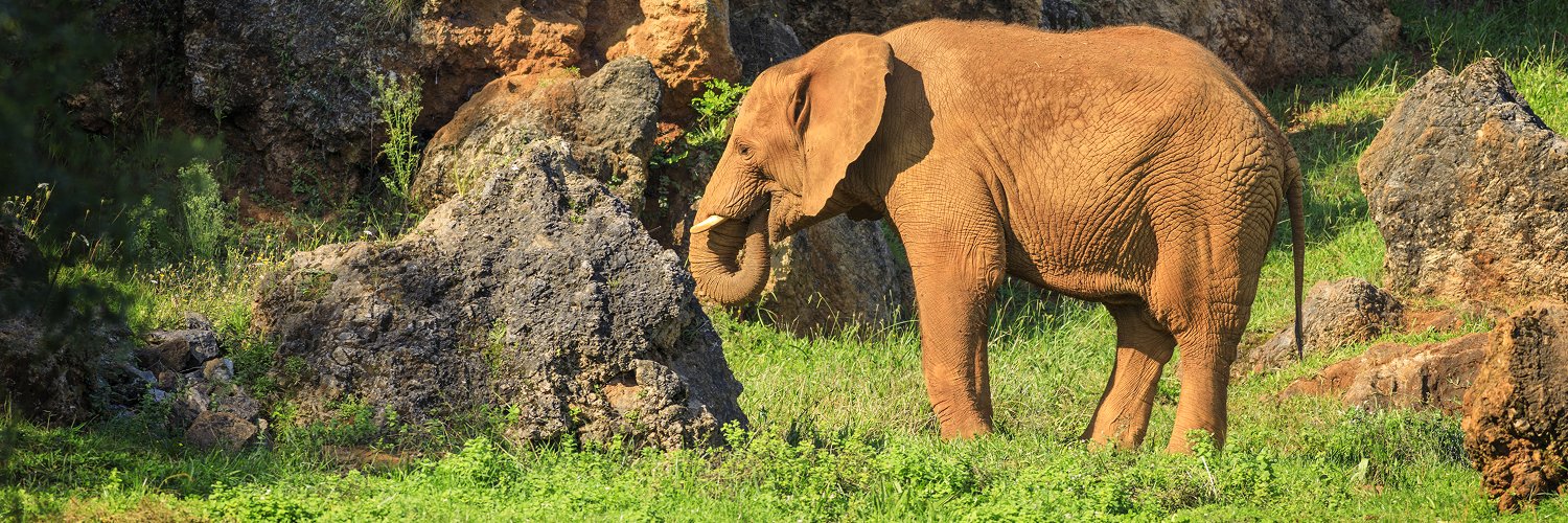 ¡Disfruta Cantabria y vive la experiencia Cabárceno!