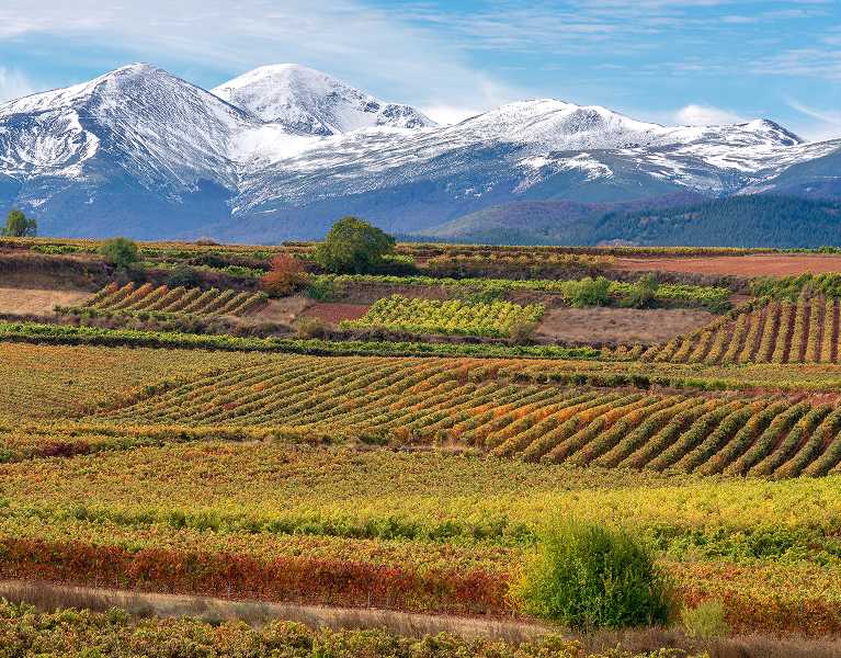 Olvídate de la rutina con un paseo por La Rioja