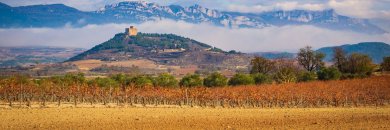 Escapada a La Rioja: relax entre viñedos y desconexión total