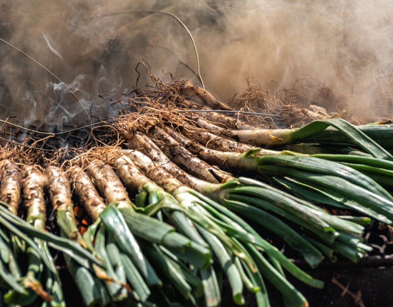 ¡Planazo en Tossa de Mar! Calçotada y carne a la brasa en hotel 4*