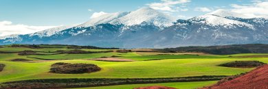 Escapada al Parque Natural de Moncayo: ¡1 niño viaja GRATIS!