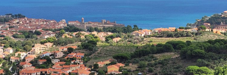 ¡Sur de Francia! Camping 3* en Argelès-sur-Mer en plena naturaleza