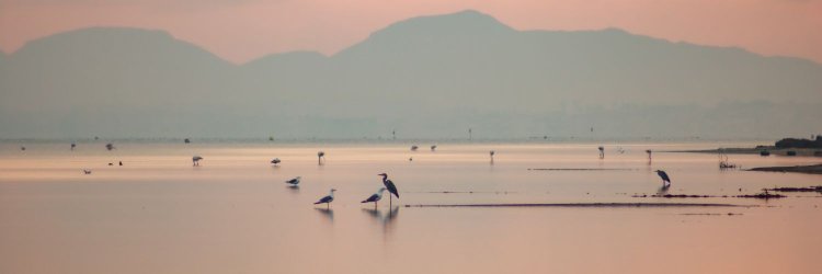 Vive Semana Santa en el Mar Menor en hotel 4*
