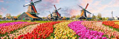 Circuito por Ámsterdam, Bruselas, Brujas y Gante con vuelos y desayunos incluidos