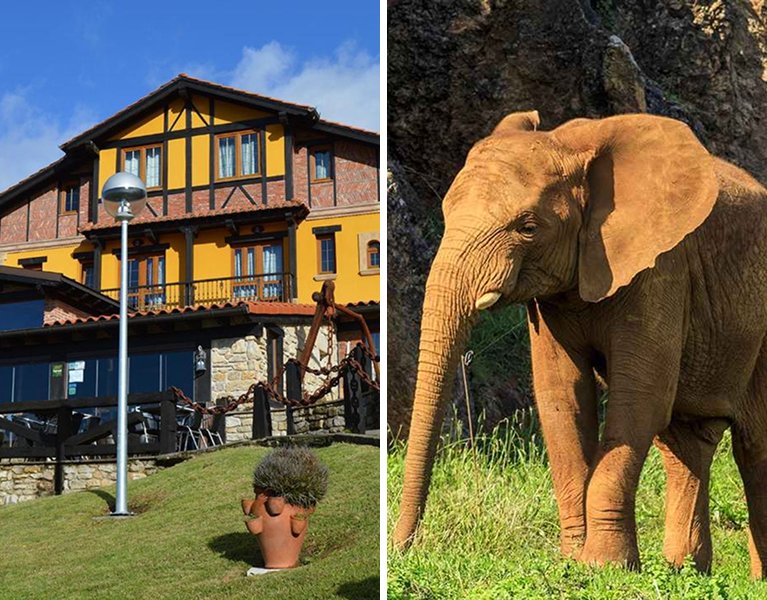 Escapada Adults Only en Suances con opción a Cabárceno