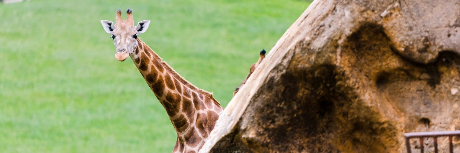 Explora Cantabria con opción de visitar el Parque de Naturaleza de Cabárceno