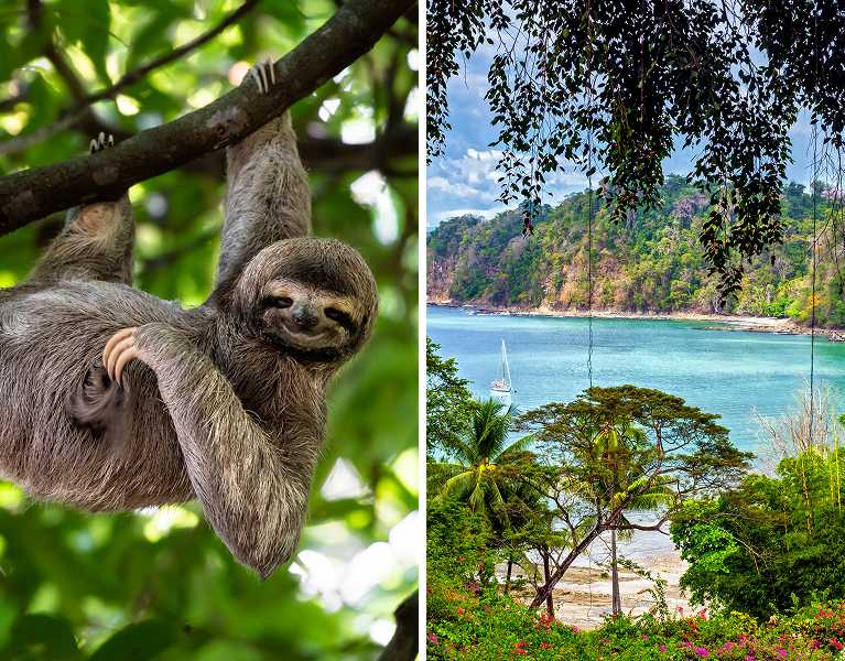 ¡Pura Vida! Costa Rica con circuito, coche, vuelos y alojamiento incluidos