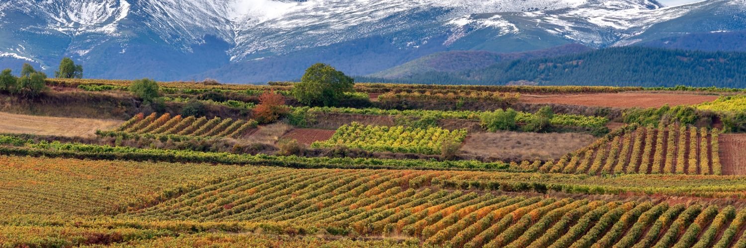 ¡La Rioja te espera! Descubre la tierra de los viñedos