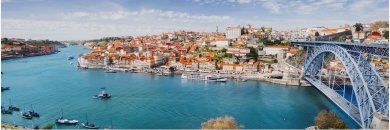 ¡Oporto al completo! Crucero por el Duero y visita a una bodega