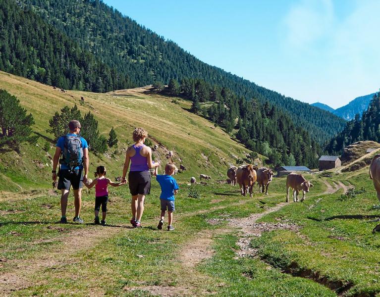 Escapada en hotel de montaña 4* en La Massana (Andorra)