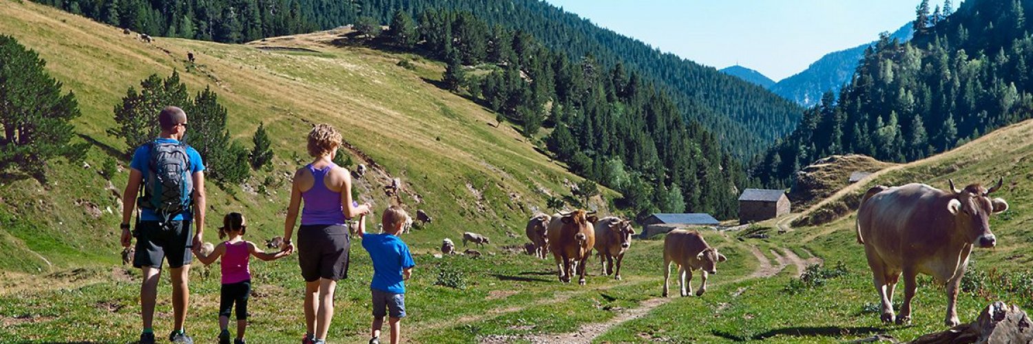 Escapada en hotel de montaña 4* en La Massana (Andorra)