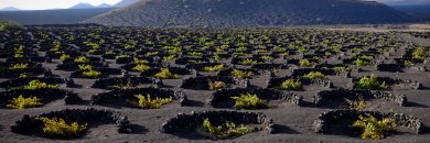 Escapada a Las Palmas: playa, historia y alma canaria