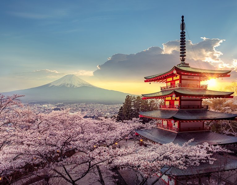 Gran circuito por Japón recorriendo sus imprescindibles