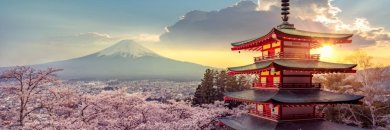 Gran circuito por Japón recorriendo sus imprescindibles