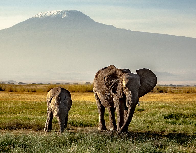 Descubre paisajes espectaculares en este gran circuito por Kenia