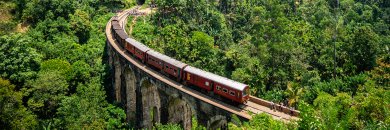 Sri Lanka: un viaje único a la perla del Índico