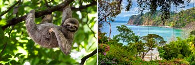 ¡Pura Vida! Costa Rica con circuito, coche, vuelos y alojamiento incluidos