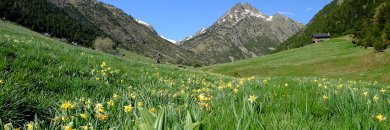 Escapada en Hotel 3* en Encamp (Andorra)