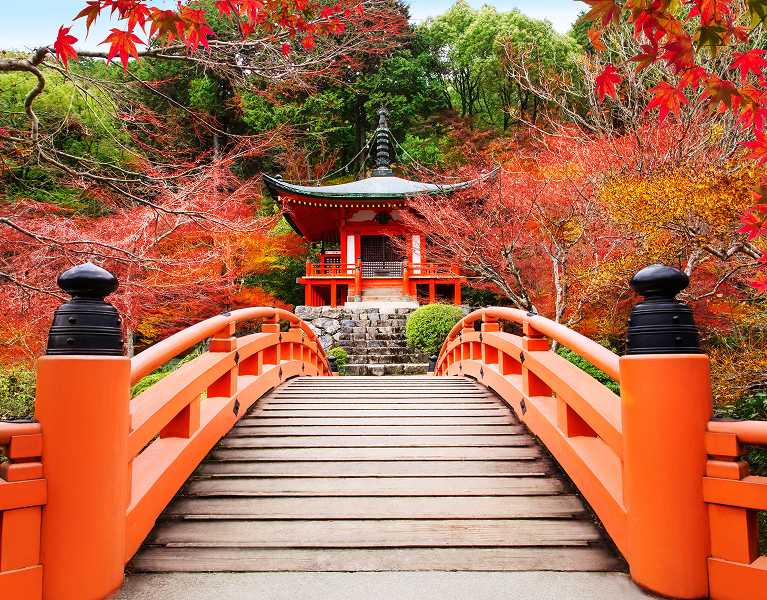 ¡Hazlo realidad! Tu gran viaje a Japón empieza ahora